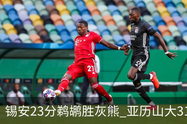 锡安23分鹈鹕胜灰熊 亚历山大31+10雷霆屠公牛